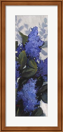 Framed Lilac Spray II Print