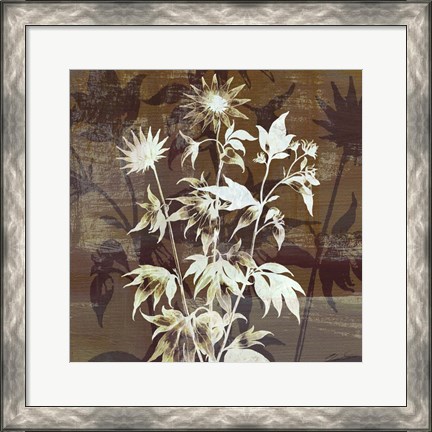 Framed Prairie Mix II Print