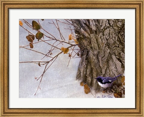 Framed Late Snow Warbler Print