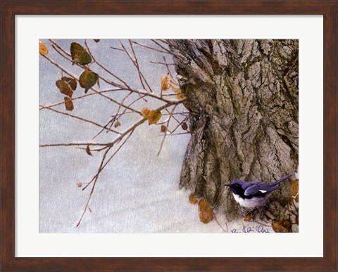 Framed Late Snow Warbler Print