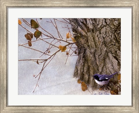 Framed Late Snow Warbler Print