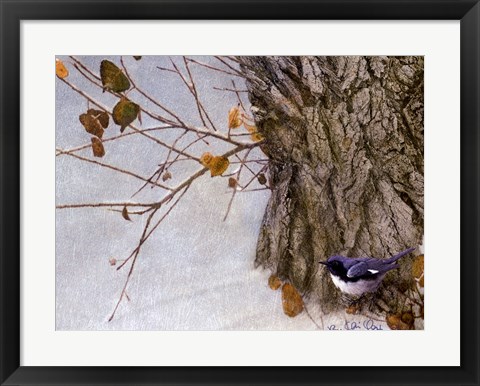 Framed Late Snow Warbler Print