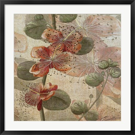 Framed Desert Botanicals I Print