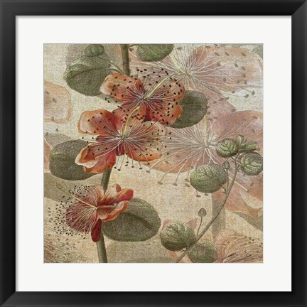 Framed Desert Botanicals I Print