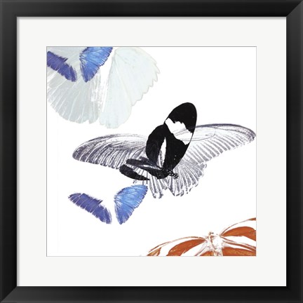 Framed Butterfly Inflorescence I Print