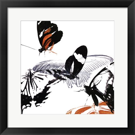 Framed Butterfly Inflorescence III Print