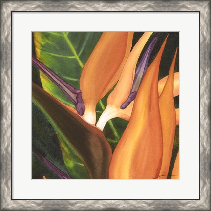 Framed Bird Of Paradise Tile I Print