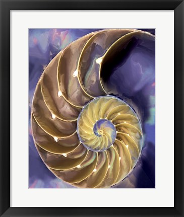 Framed Shell Extraction II Print