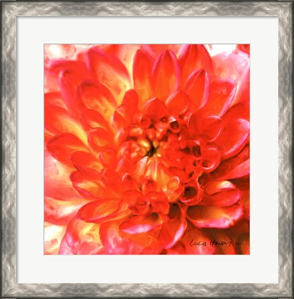 Framed Painterly Flower II Print