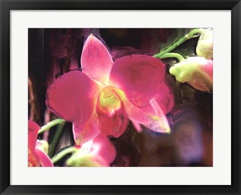 Framed Painterly Flower V Print