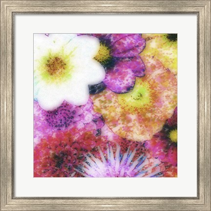 Framed Floral Reef IV Print