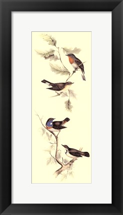 Framed Gould Bird Panel I Print