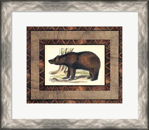 Framed Rustic Bear Print