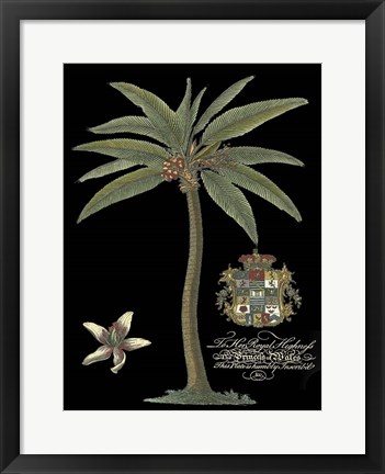 Framed Palm on Black I Print