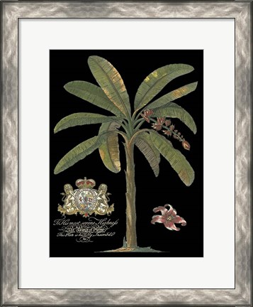 Framed Palm on Black II Print
