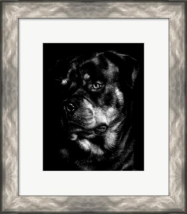 Framed Canine Scratchboard XII Print