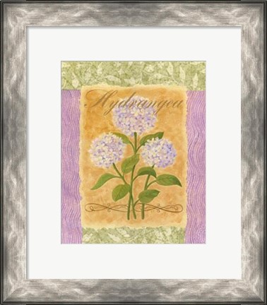 Framed Sweet Hydrangea Print