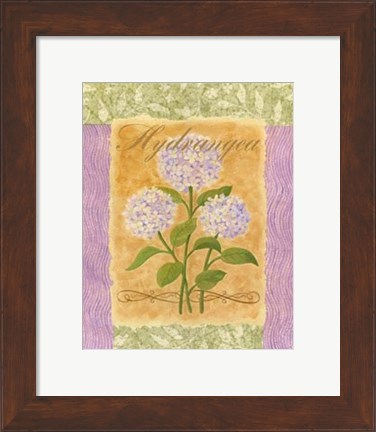 Framed Sweet Hydrangea Print