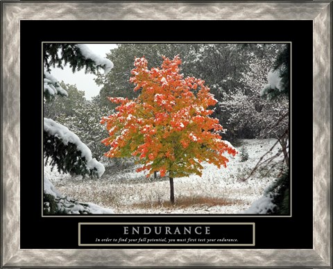 Framed Endurance - Fall Tree Print