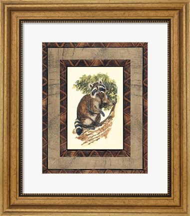 Framed Rustic Raccoon Print