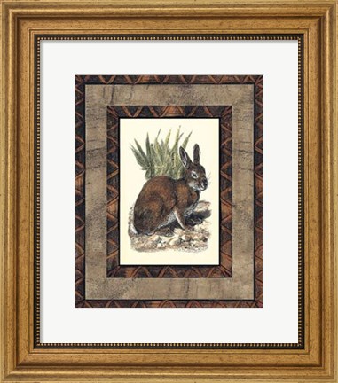 Framed Rustic Rabbit Print