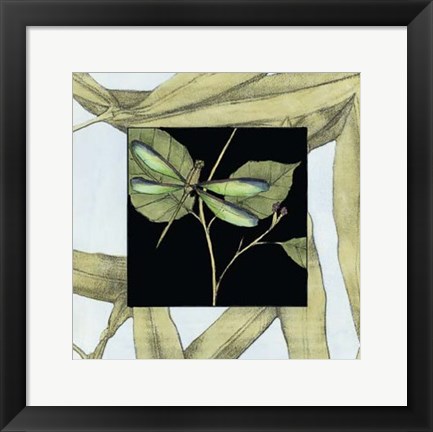 Framed Dragonfly Inset I Print