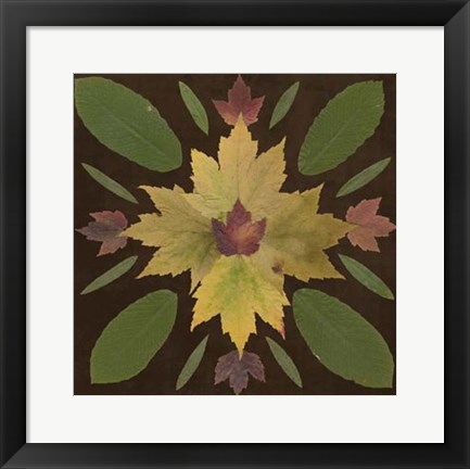 Framed Kaleidoscope Leaves IV Print