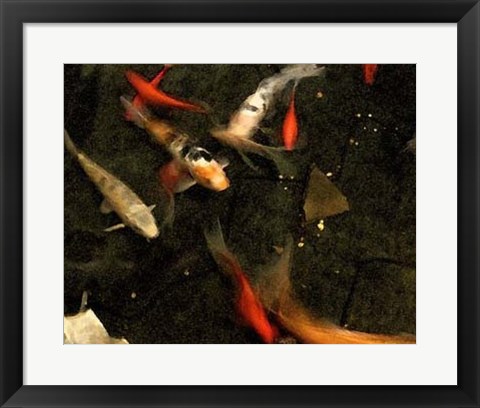 Framed Goldfish Pond II Print