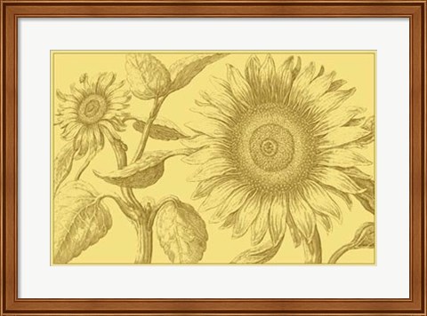 Framed Golden Sunflowers I Print