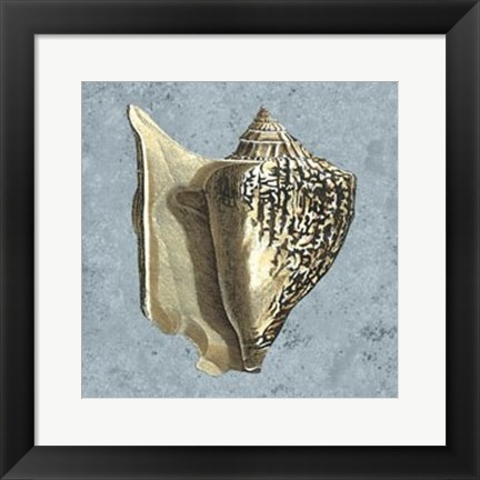 Framed Stonewashed Shells VI Print
