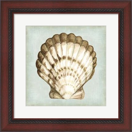 Framed Sea Dream Shells III Print