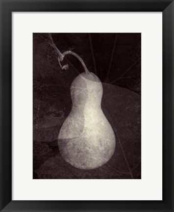 Framed Gourd I Print