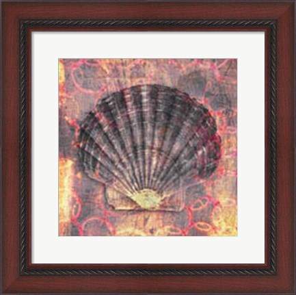 Framed Seashell-Scallop Print