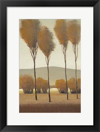 Framed Tall Birches I Print