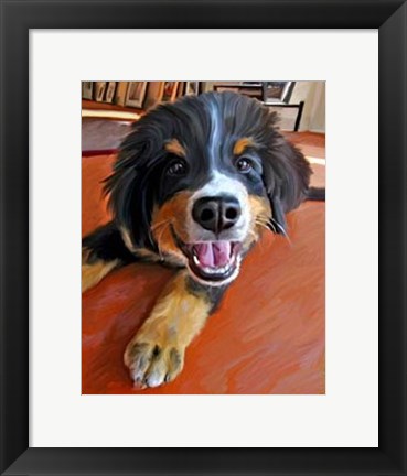 Framed Bernese Puppy Print
