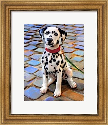 Framed Dalmatian Puppy Print