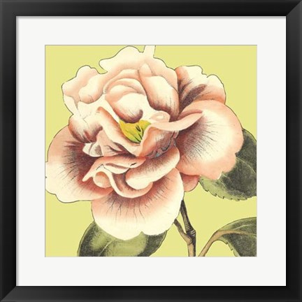 Framed Flower Power III Print