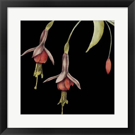 Framed Graphic Fuchsia III Print