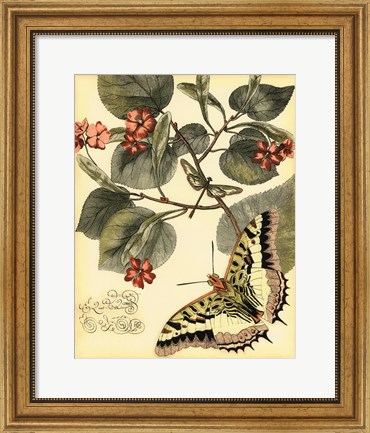 Framed Whimsical Butterflies I Print