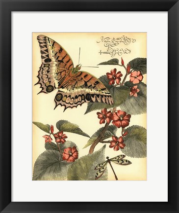 Framed Whimsical Butterflies II Print