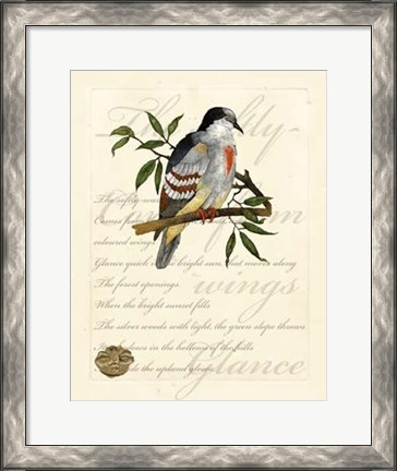 Framed Romantic Dove II Print