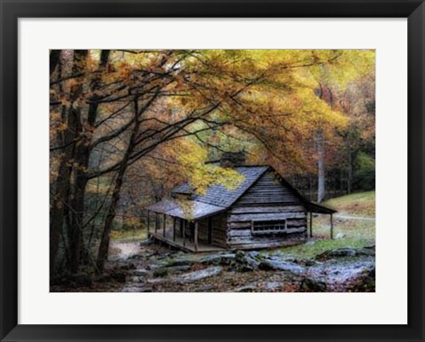 Framed Damp Autumn Day Print