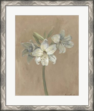 Framed Blooms &amp; Stems IV Print