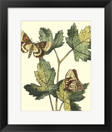 Framed Butterflies &amp; Leaves IV Print