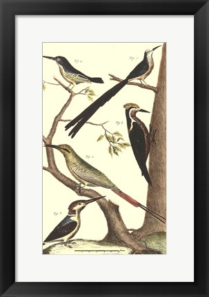 Framed Bird Family III Print