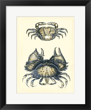 Framed Antique Blue Crabs I Print