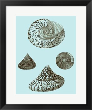 Framed Tinted Shells on Aqua IV Print