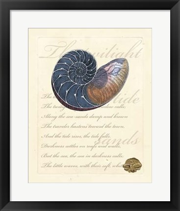 Framed Romance of the Shell I Print