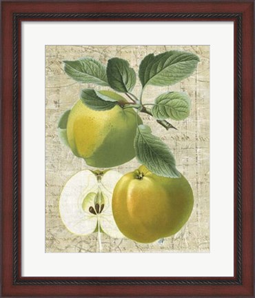 Framed Orchard Medley I Print