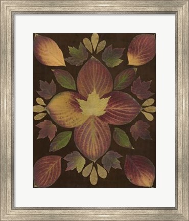 Framed Kaleidoscope Leaves V Print